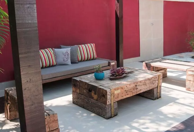 Fotos del hotel Voa Tartaruga:  6