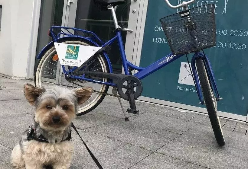 Fotos del hotel Quality Hotel View:  9