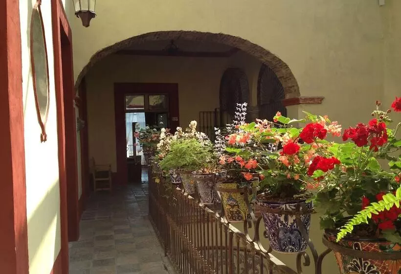 Fotos del hotel Casa De La Palma Travel:  5