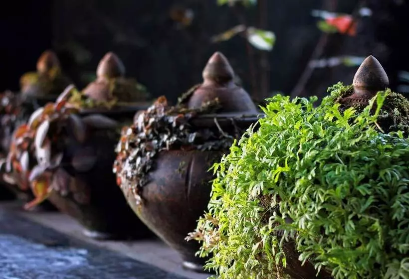 Fotos del hotel Thannatee Boutique:  21