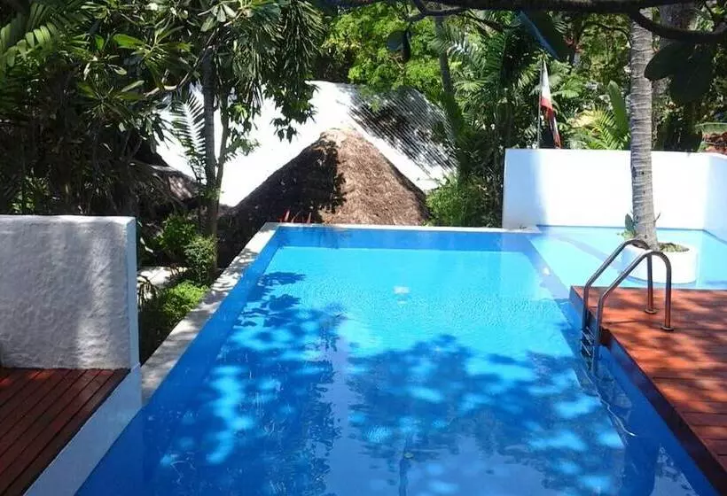 Fotos del hotel Villa Elisabeth:  13