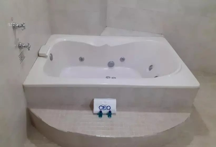 Fotos del hotel Ceo:  14