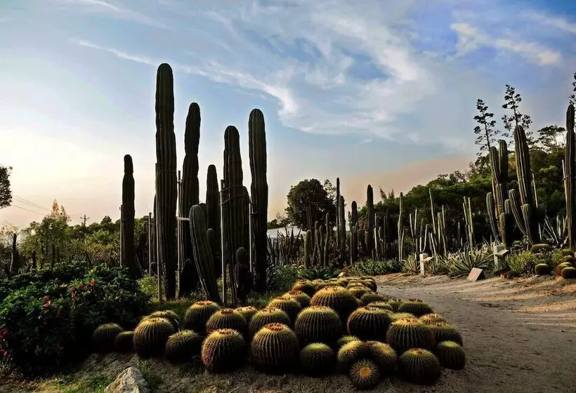 Fotos del hotel Mercure Xiamen On The Bund:  10