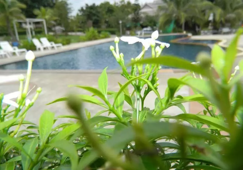 Fotos del hotel Pai Iyara Resort:  4