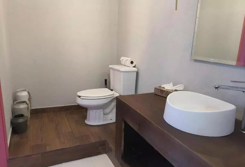 Fotos del hotel Mansion San Miguel:  7