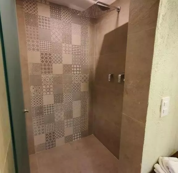 Fotos del hotel Mansion San Miguel:  2