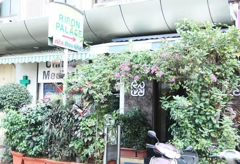 Fotos del hotel Ripon Palace:  5