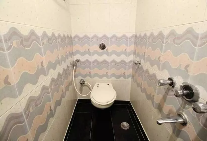 Fotos del hotel Ripon Palace:  9