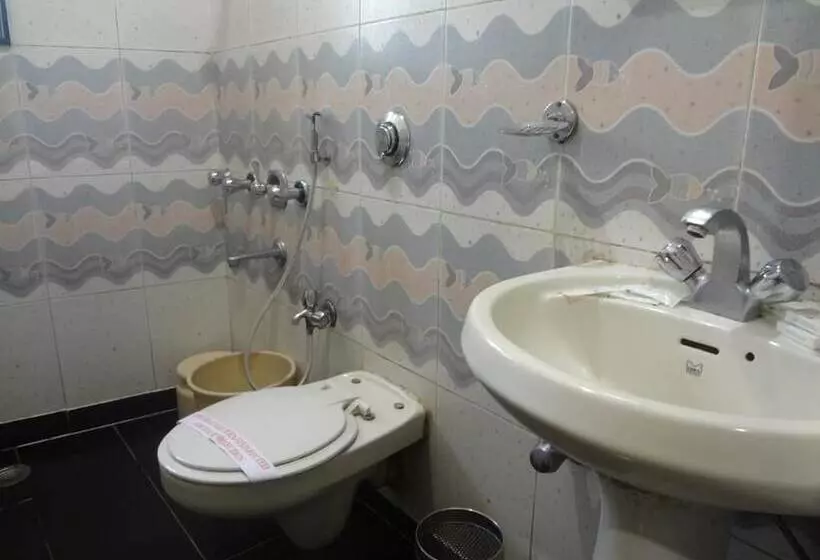 Fotos del hotel Ripon Palace:  6