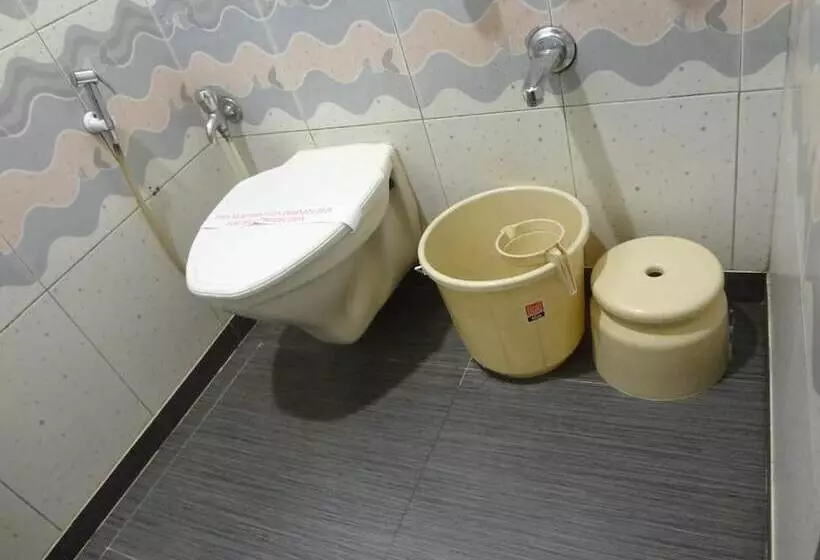 Fotos del hotel Ripon Palace:  11