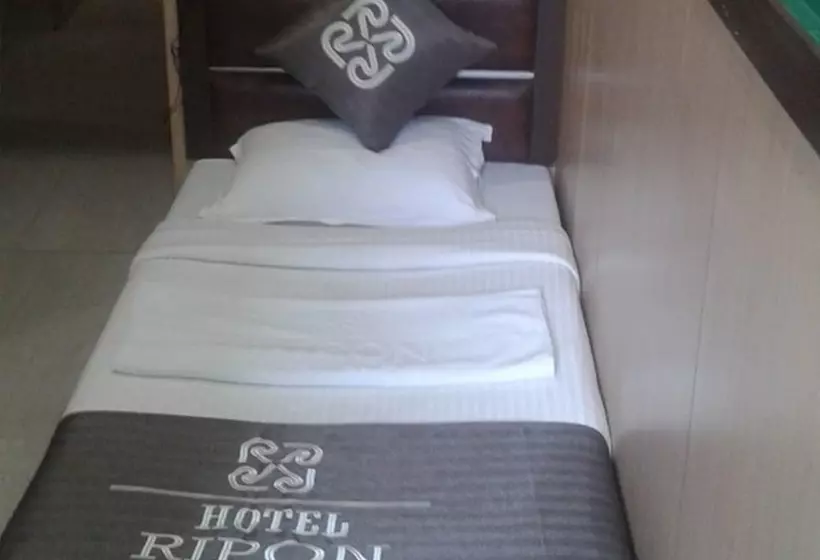 Fotos del hotel Ripon Palace:  2