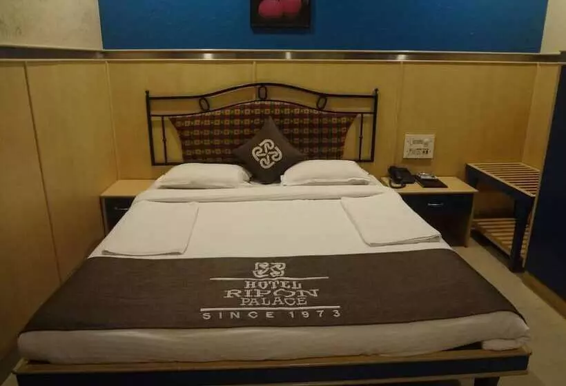 Fotos del hotel Ripon Palace:  8