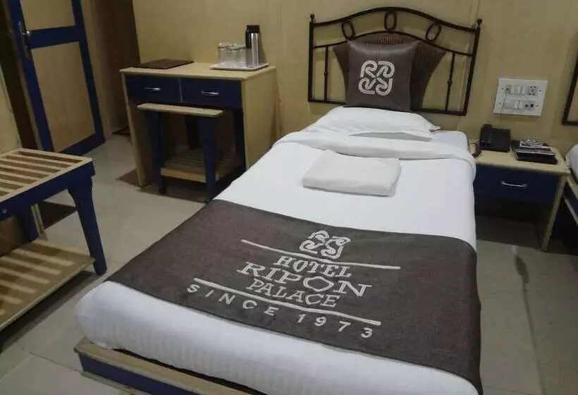 Fotos del hotel Ripon Palace:  13