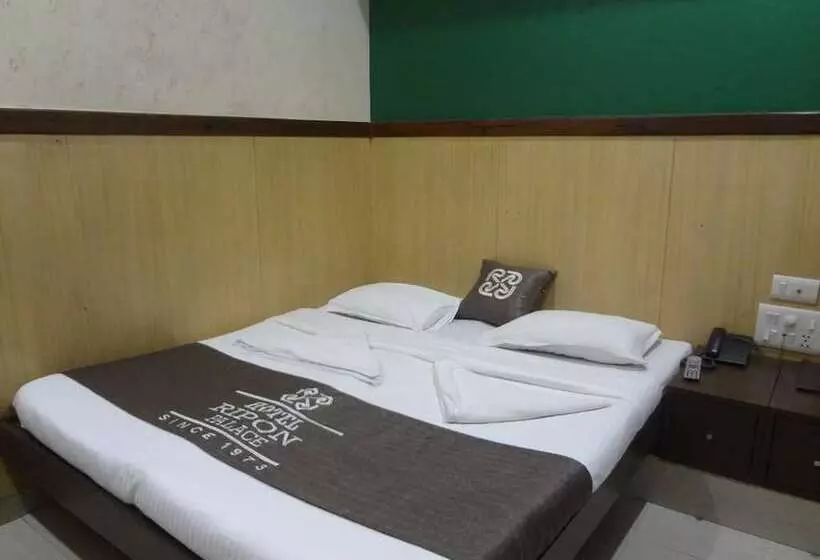 Fotos del hotel Ripon Palace:  12