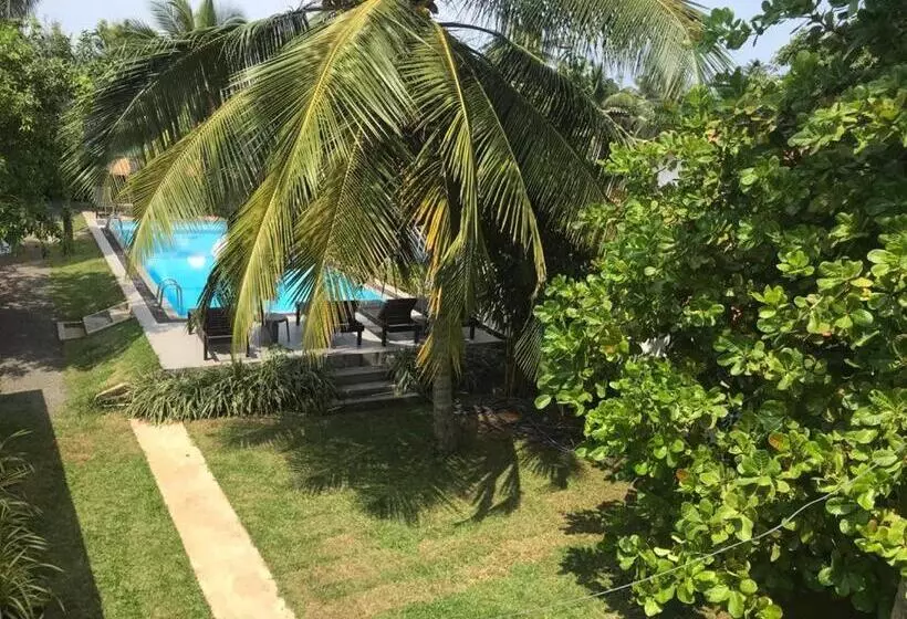 Fotos del hotel Star Holiday Resort:  6