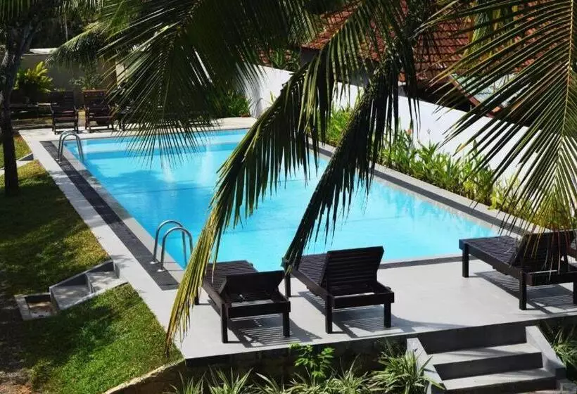 Fotos del hotel Star Holiday Resort:  2