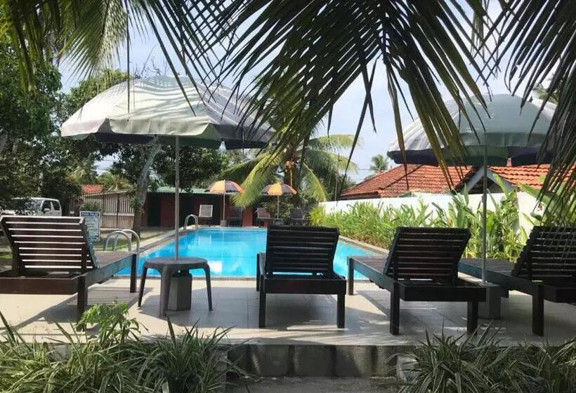 Fotos del hotel Star Holiday Resort:  21