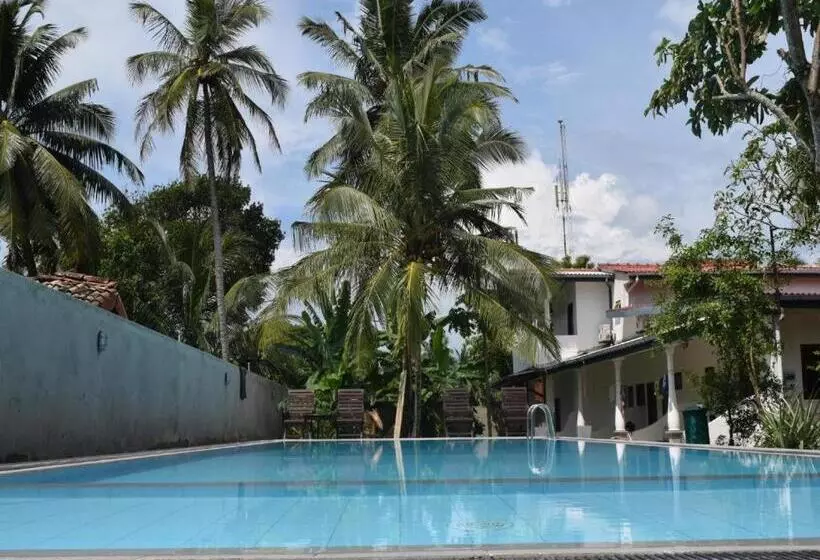 Fotos del hotel Star Holiday Resort:  8