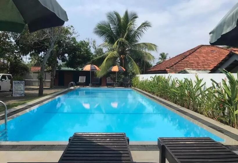 Fotos del hotel Star Holiday Resort:  12