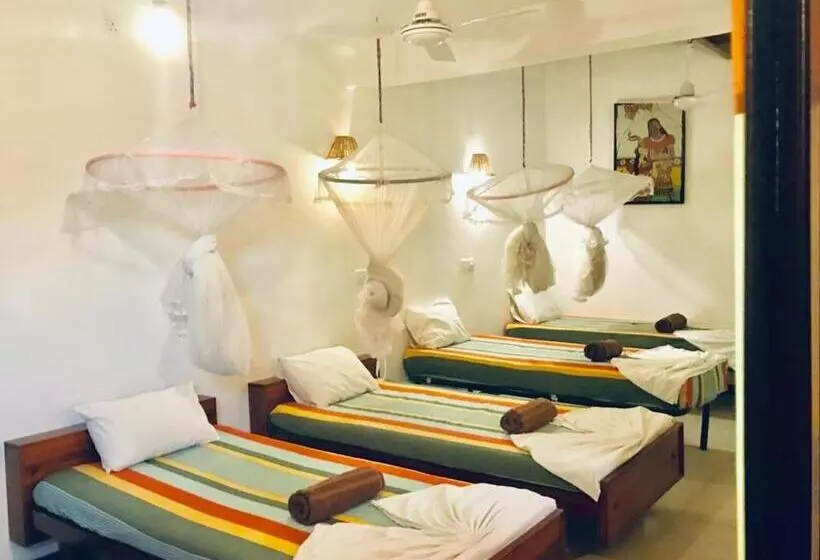 Fotos del hotel Star Holiday Resort:  20