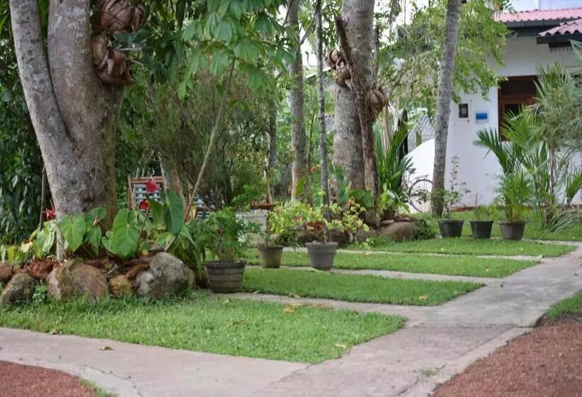 Fotos del hotel Star Holiday Resort:  25