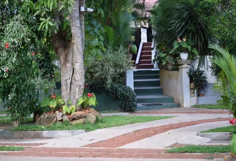 Fotos del hotel Star Holiday Resort:  16