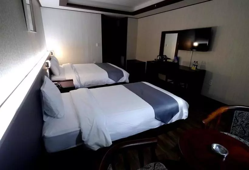 Fotos del hotel New Island:  2