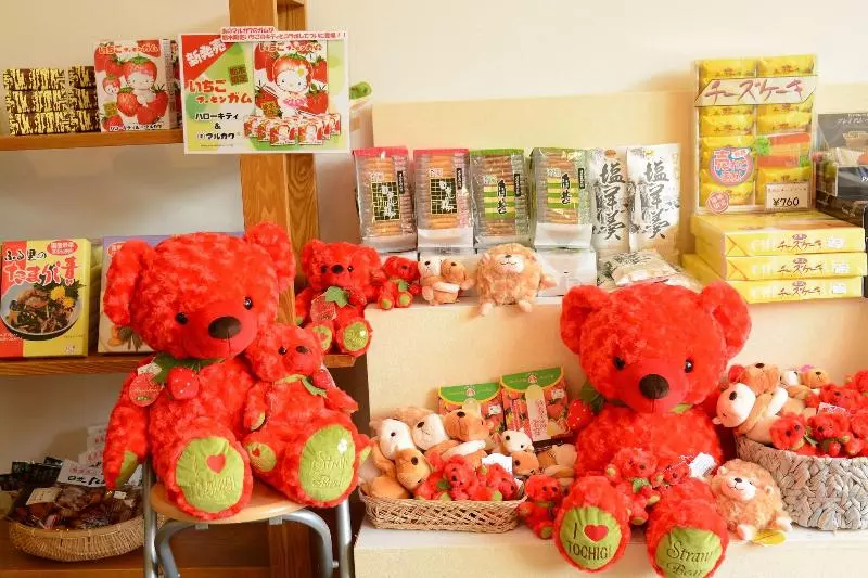 Fotos del hotel Casual Euro:  9