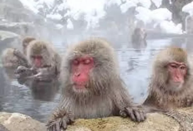 Fotos del hotel Housei:  6