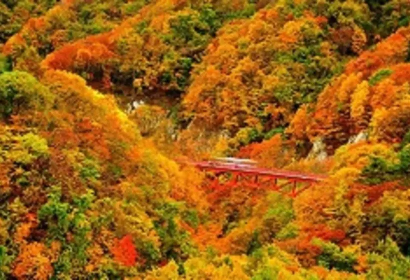 Fotos del hotel Housei:  18