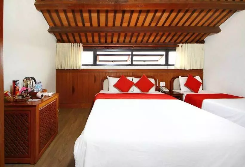 Fotos del hotel Thanh Van 1:  21