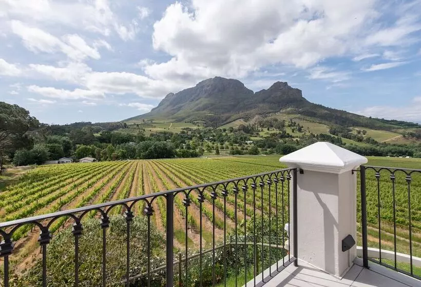 Fotos del hotel Banhoek Lodge:  12