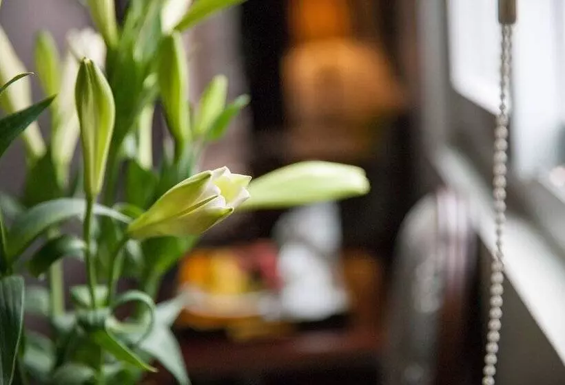 Fotos del hotel Dragon Pearl:  10