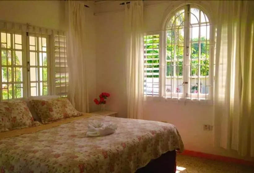 Fotos del hotel Executive Mamme Bay  And Conference:  19