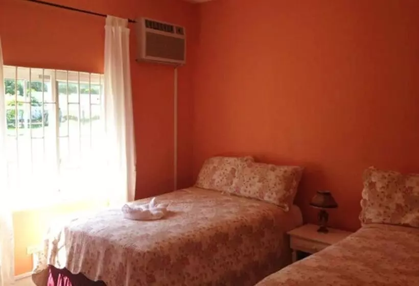 Fotos del hotel Executive Mamme Bay  And Conference:  13