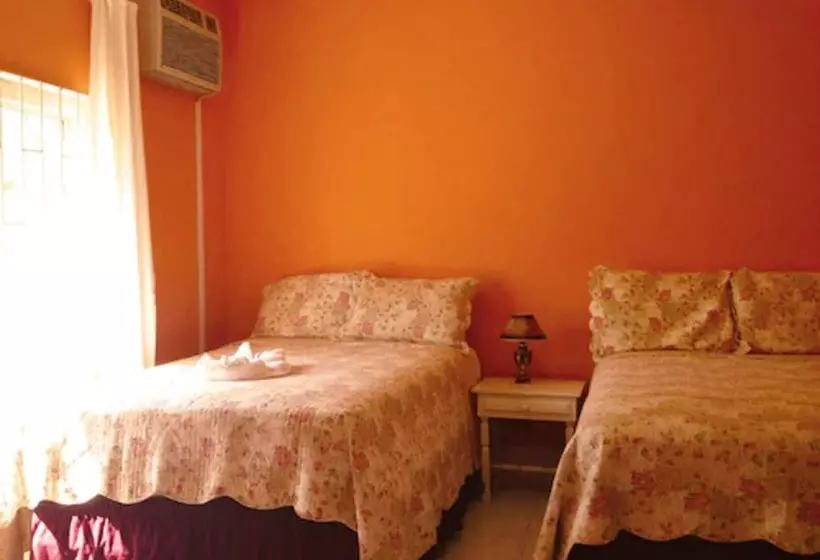 Fotos del hotel Executive Mamme Bay  And Conference:  9