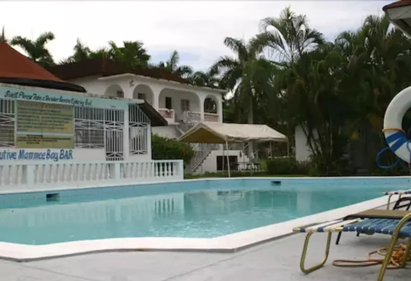 Fotos del hotel Executive Mamme Bay  And Conference:  14