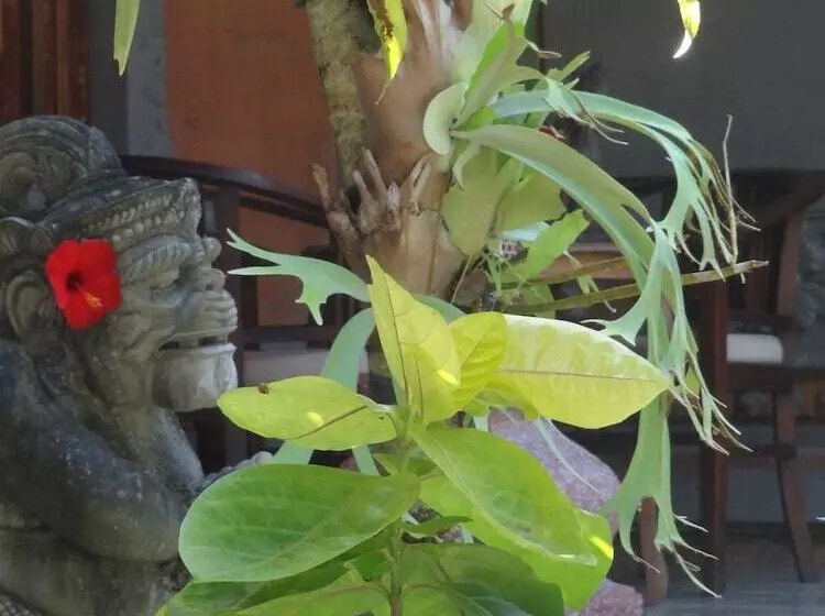 Fotos del hotel Hibiscus Cottages:  5