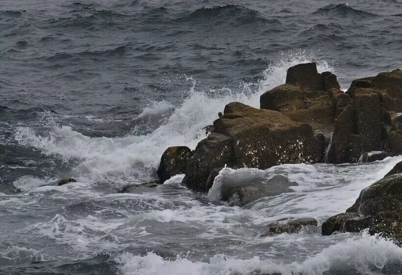 Fotos del hotel Qingdao Villa Inn Seaside:  7