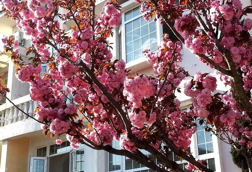 Fotos del hotel Qingdao Villa Inn Seaside:  20