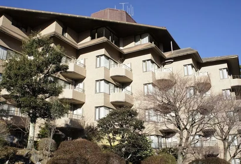 Wisterian Life Club Verde No Mori