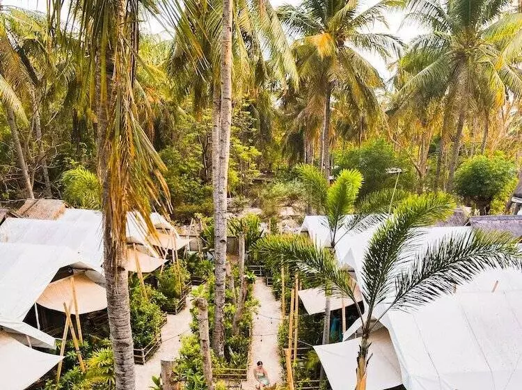 Fotos del hotel La Cocoteraie Ecolodge Glamping:  6