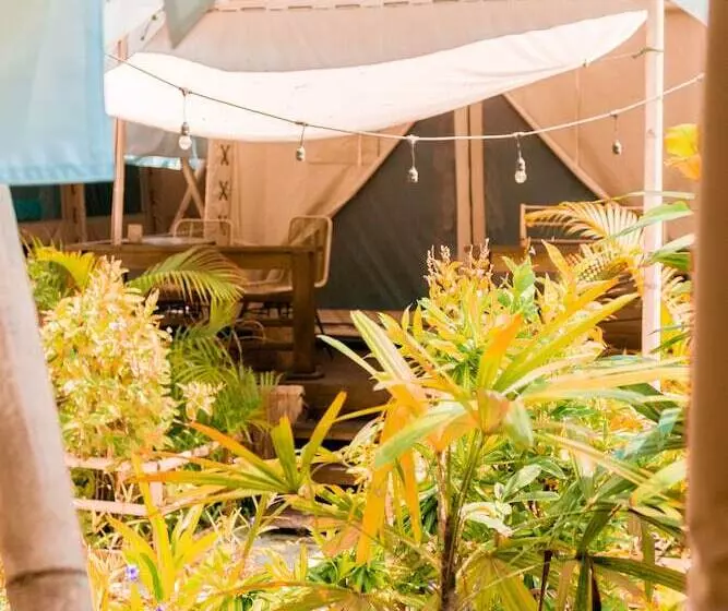 Fotos del hotel La Cocoteraie Ecolodge Glamping:  4