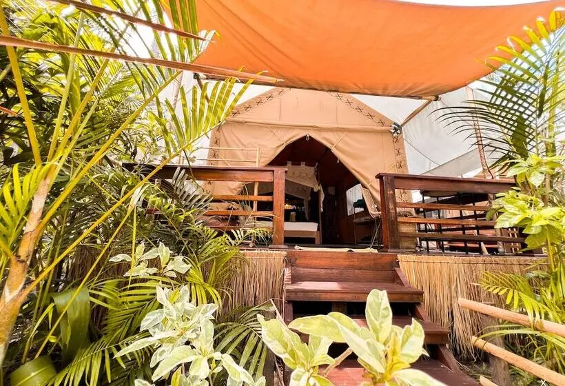 Fotos del hotel La Cocoteraie Ecolodge Glamping:  17