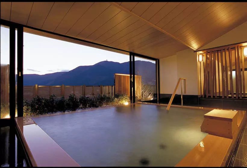 Fotos del hotel Harvest Hakone Koushien:  17
