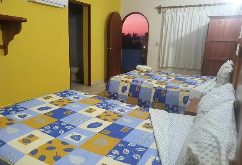 Fotos del hotel Kootznoowoo:  25