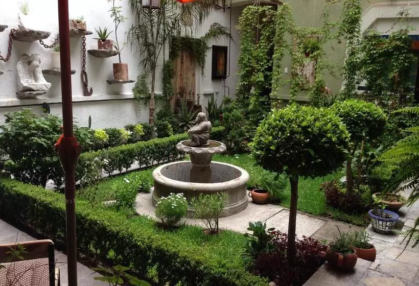 Fotos del hotel Meson Sacristia De La Soledad:  20