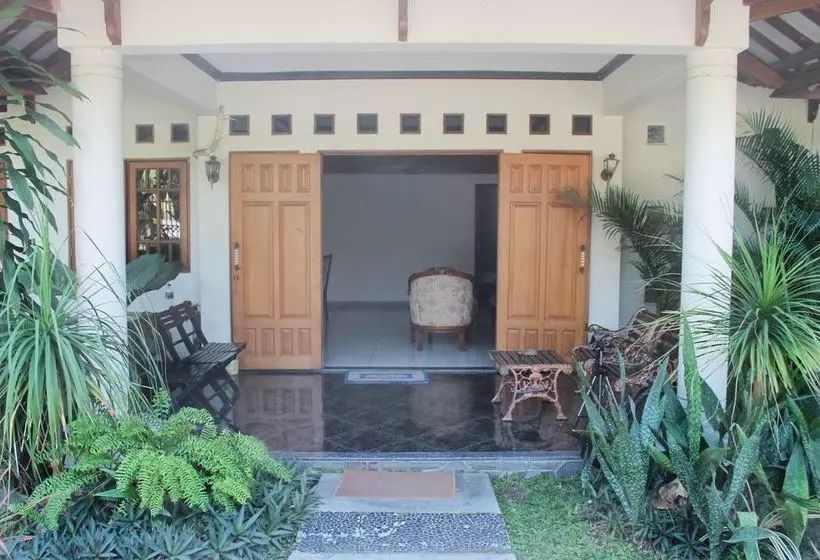 Fotos del hotel Santo Guest House:  21