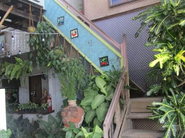 Fotos del hotel Islandfront Cottages:  14