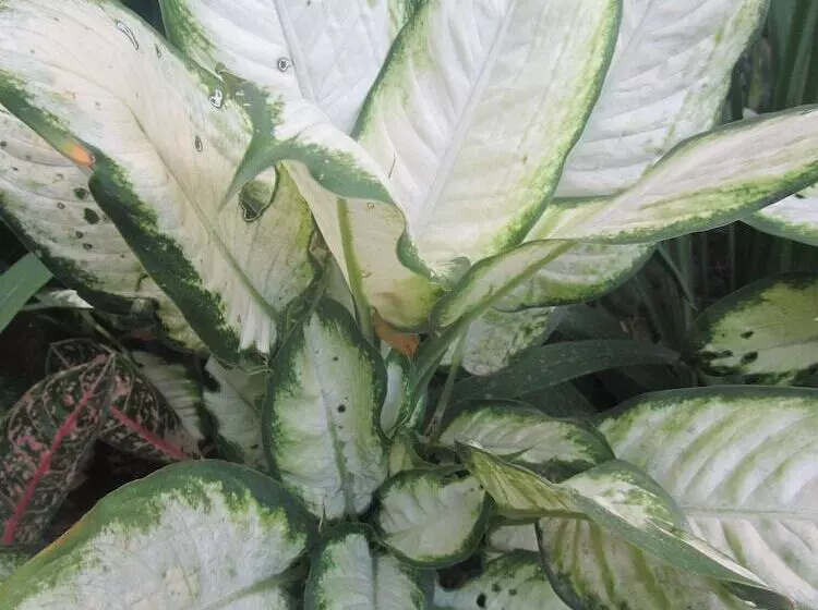 Fotos del hotel Islandfront Cottages:  10